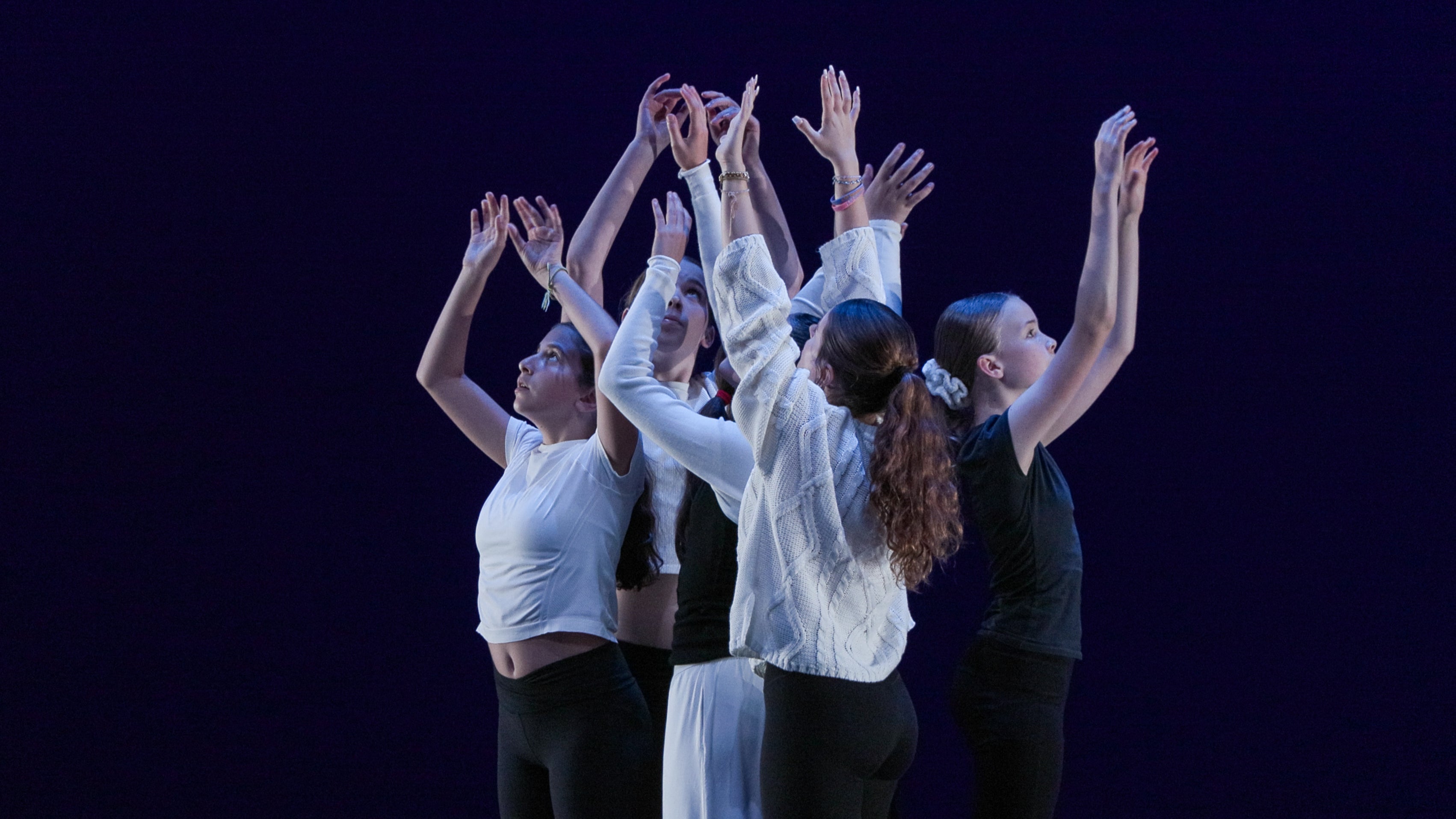 2025 December Showcase Digital Encore (Downloadable)