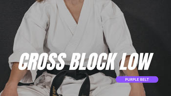 Cross Block Low - Purple Belt