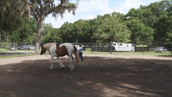 Episode 2: Initial Evaluation | Spray Bottle Introduction | Groundwork Guys