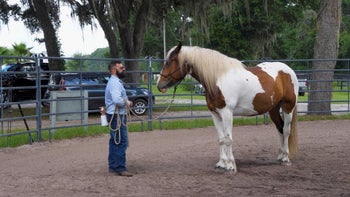 Episode 4: Introducing the Bottle | Spray Bottle Introduction | Groundwork Guys