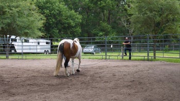 Episode 3: Utilizing The Hose | Spray Bottle | Groundwork Guys