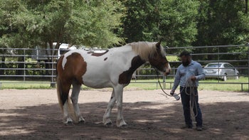 Episode 5: Starting the Spray | Spray Bottle Introduction | Groundwork Guys
