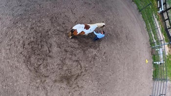 Episode 6: Changing It Up | Spray Bottle Introduction | Groundwork Guys