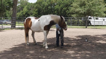 Episode 7: Introducing the Fly Spray | Spray Bottle Introduction | Groundwork Guys