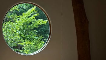 The Sensuality of Stillness 