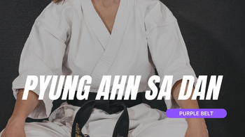 Pyung Ahn Sa Dan - Purple Belt