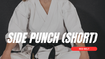 Side Punch (short) - Red Belt