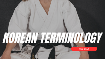 Korean Terminology - Red Belt