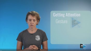 Effektive Kommunikation unter Wasser: Grundlagen und Herausforderungen