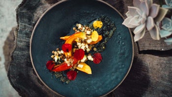 Hokkaido mit Lauch-Apfel-Linsen und Brennnessel-Walnusspesto