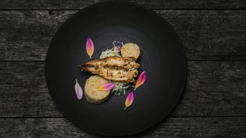 Langostino mit Kreuzkümmelbutter, Couscous und Kohlrabisalat