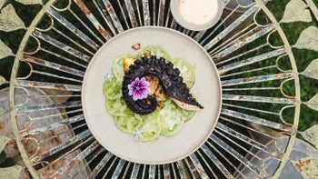 Oktopus mit Kartoffeln, Rouille und Grüne-Tomaten-Carpaccio