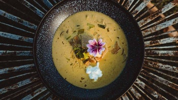 Madras Curry mit Kalbsfilet und Gurkensauerrahm