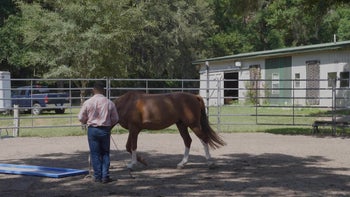 Episode 4: First Liverpool Interaction | Liverpool Introduction | Groundwork Guys