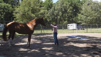 Episode 2: Initial Evaluation | Liverpool Introduction | Groundwork Guys