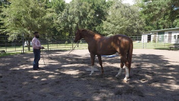 Episode 3: Using A Target | Liverpool Introduction | Groundwork Guys