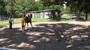 Episode 5: Switching It Up And Where To Quit | Liverpool Introduction | Groundwork Guys