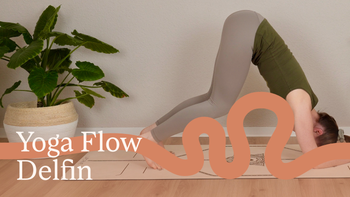 Yoga Flow: Delfin