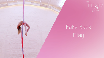Fake Back Flag - Interm