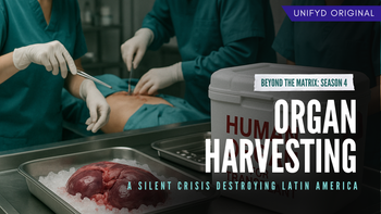 BTM S4E9 | Organ Harvesting