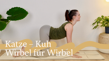 Katze – Kuh: Wirbel Für Wirbel