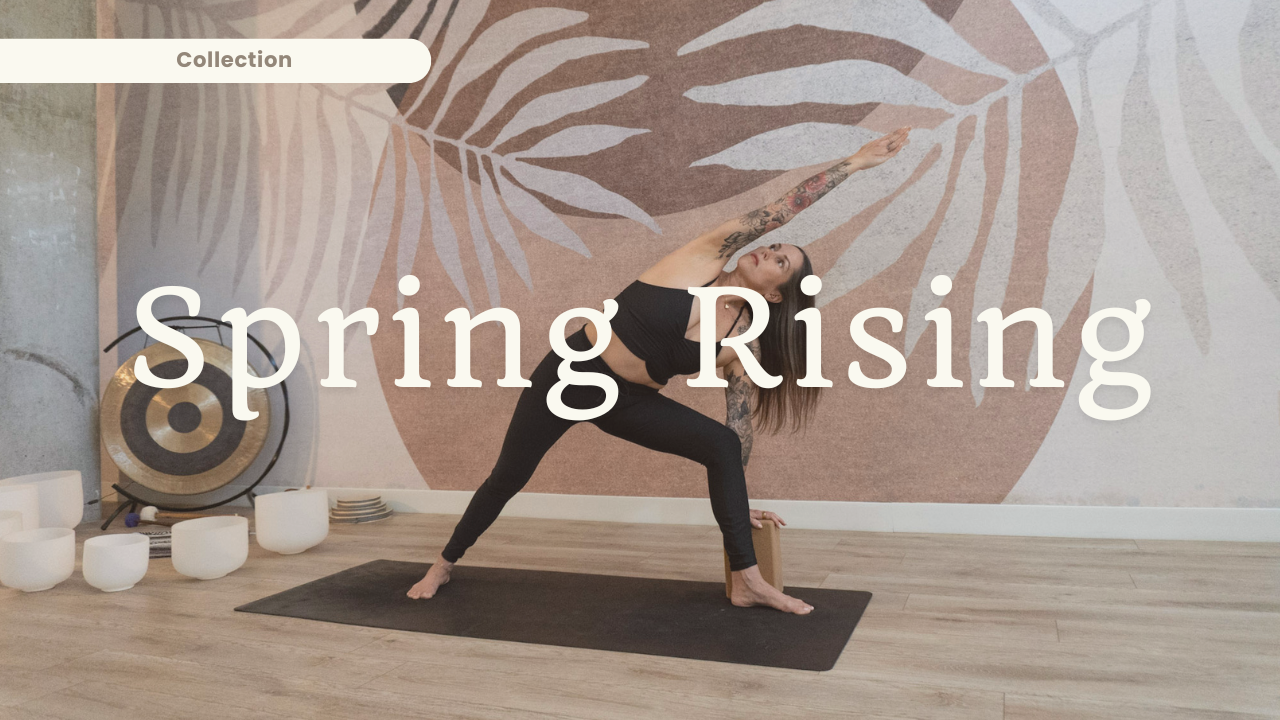 Online Yoga & Meditation Studio
