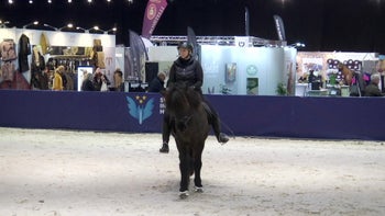 Fråga 1: Min häst hänger i yttertygeln