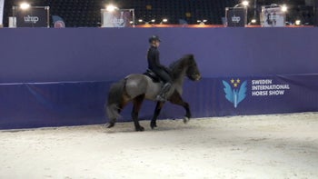 Fråga 2: Hur ska tölten vara - och hur förbättrar jag i kort tempo?