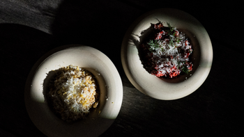 Risotto Stroganoff & Risotto Steinpilz