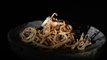 Pastinaken & Röstzwiebelchips