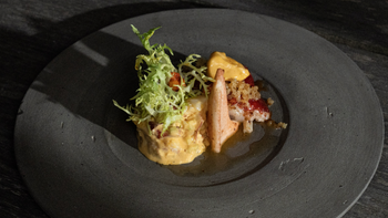 Hummer, Sanddorn Yuzu Mayonnaise, Schnittlauchcreme