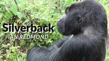 Silverback