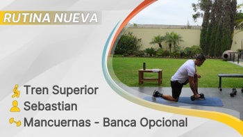 fitsli 365 - 26/01/26 - Sebastian / Tren Superior - Espalda y Tríceps / Mancuernas - Banca Opcional