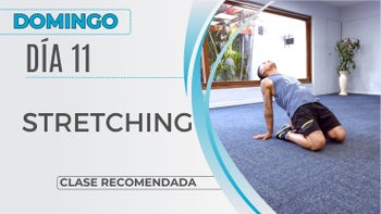 Calendario Mensual - 11/01/26 - Evolution Training