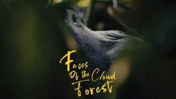 Faces of the Cloud Forest Teaser