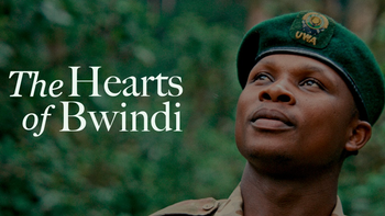 The Hearts Of Bwindi