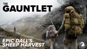 The Gauntlet: Epic Dall's Sheep Hunt in the Mackenzie Mountains