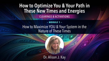 Module 1 - How to Maximize YOU & Your System in the Nature of These Times