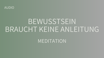 Bewusstsein braucht keine Anleitung