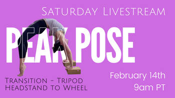 Saturday, February 14th, 9am PT - LIVESTREAM