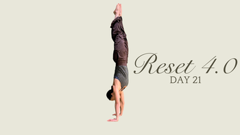 Day 21 - Reset 4.0 - Let's Handstand!