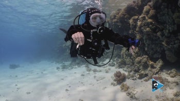 Cómo ajustar una máscara de buceo a tu cara