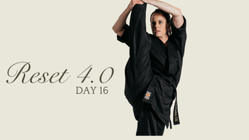 Day 16 - Reset 4.0 - Kicking combinations