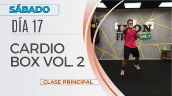 Calendario Mensual - 17/01/26 - Iron Fight Vol. 2