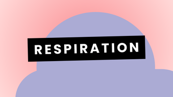 🌬️ Respiration