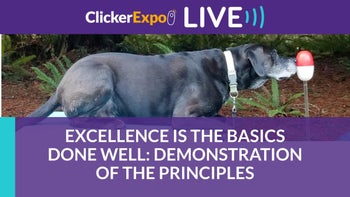 Excellence is The Basics Done Well: Demonstrations of the Principle
