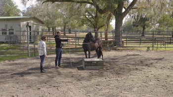 Case Study 1 | Part 4: Confidence Through Curiosity