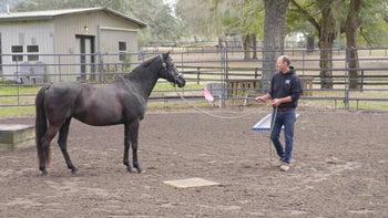 Case Study 1 | Part 1: Identifying Lack of Confidence