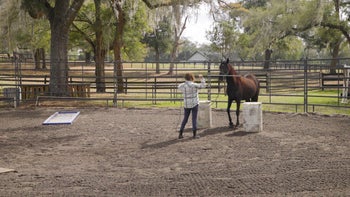 Case Study 1 | Part 2: Building Confidence & Relationship