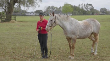 Case Study 4 | Part 2: Noëlle, Lady & Galano